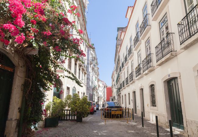 Apartment in Lisbon - Terreiro do Paço Adorable Flat Apartment in Lisbon - Terreiro do Paço Adorable Flat