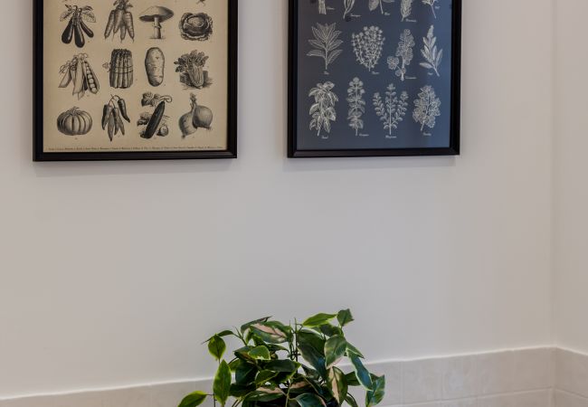 Apartment in Lisbon - Martim Moniz Urban Chic Flat Apartment in Lisbon - Martim Moniz Urban Chic Flat