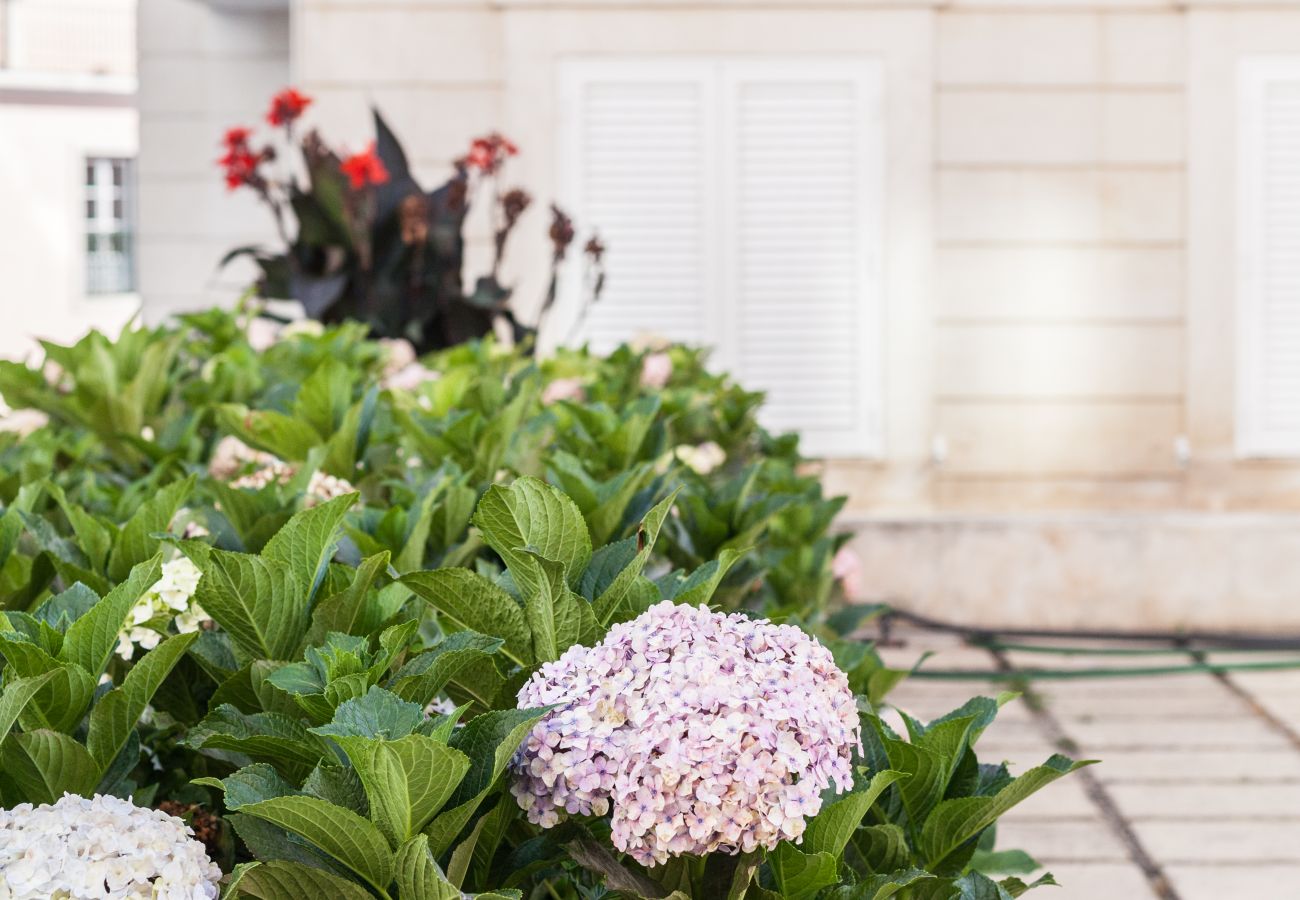 Apartamento em Lisboa - Campo Ourique Apartment with View Apartamento em Lisboa - Campo Ourique Apartment with View