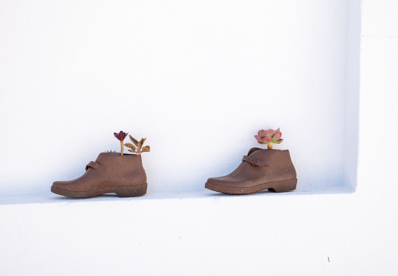 Casa em Carvoeira - Carvoeira House with Terrace Casa em Carvoeira - Carvoeira House with Terrace