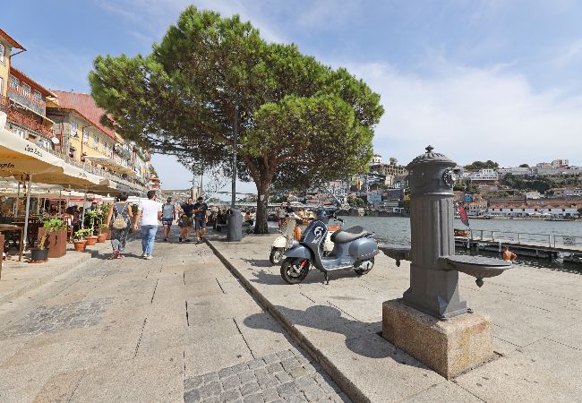 Apartamento em Porto - FLH Porto Wine Lovers Apartamento em Porto - FLH Porto Wine Lovers