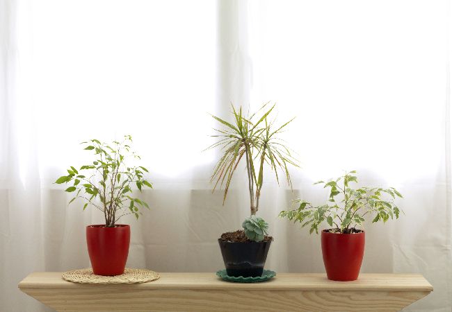 Apartamento em Porto - FLH Porto Trindade Cozy Flat Apartamento em Porto - FLH Porto Trindade Cozy Flat