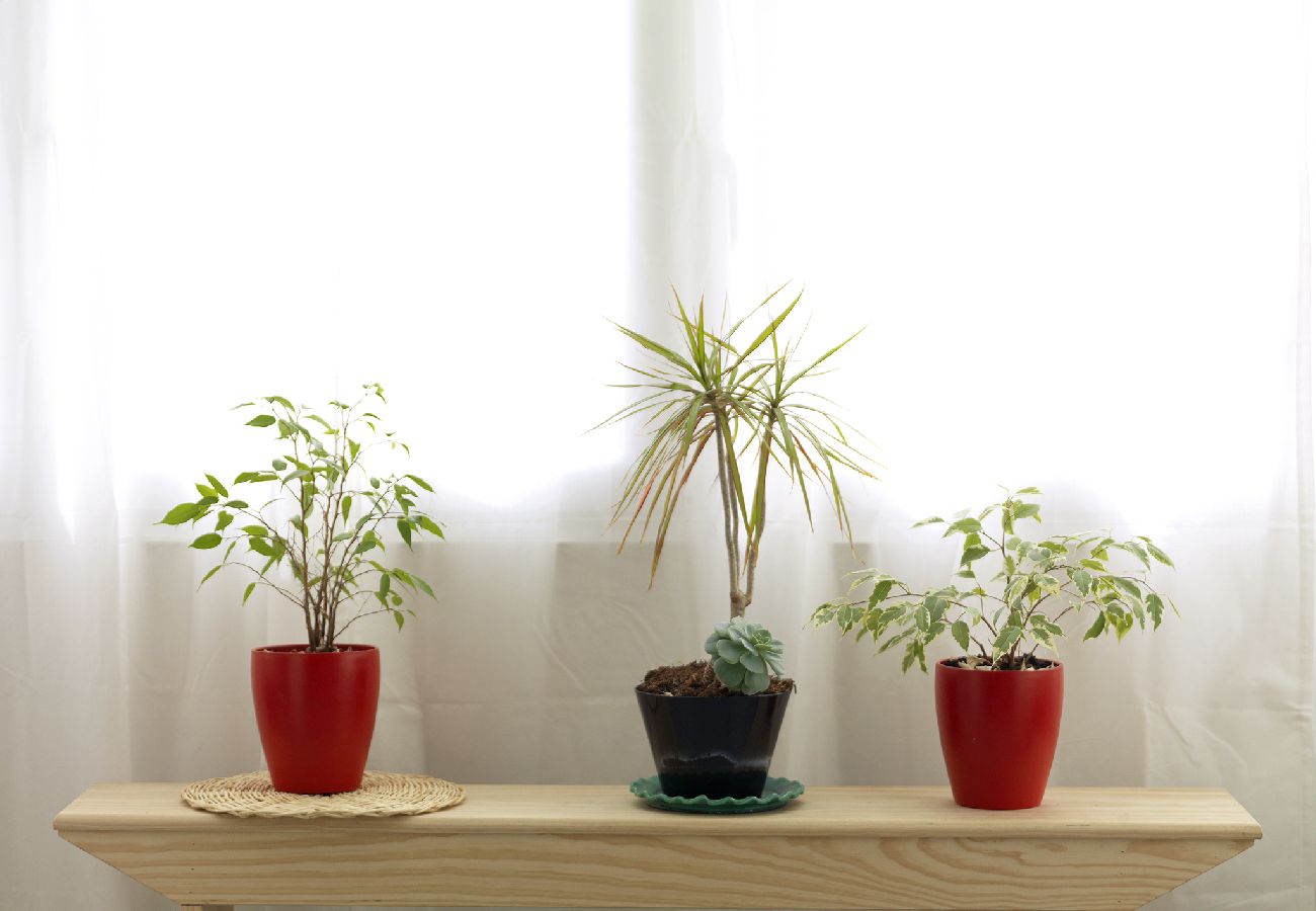 Apartamento em Porto - FLH Porto Trindade Cozy Flat Apartamento em Porto - FLH Porto Trindade Cozy Flat