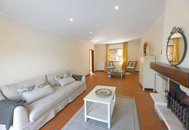 Apartamento em São Martinho de Sardoura - FLH Douro Family House Apartamento em São Martinho de Sardoura - FLH Douro Family House