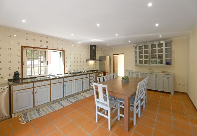 Apartamento em São Martinho de Sardoura - FLH Douro Family House Apartamento em São Martinho de Sardoura - FLH Douro Family House