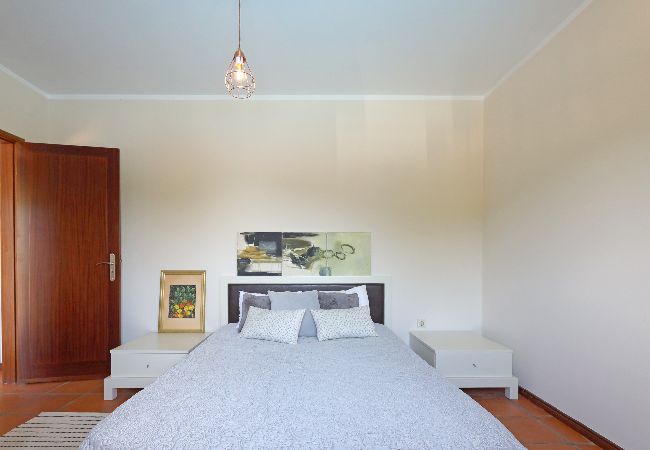 Apartamento em São Martinho de Sardoura - FLH Douro Family House Apartamento em São Martinho de Sardoura - FLH Douro Family House