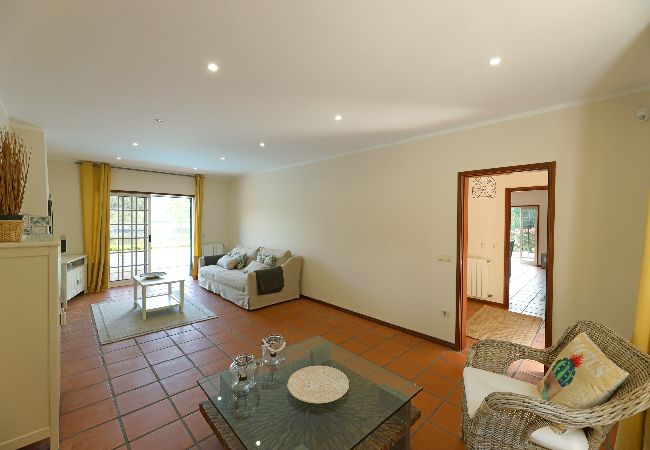 Apartamento em São Martinho de Sardoura - FLH Douro Family House Apartamento em São Martinho de Sardoura - FLH Douro Family House