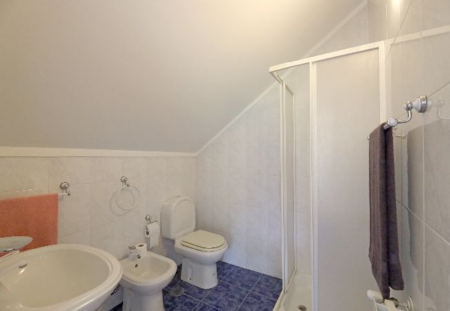 Apartamento em São Martinho de Sardoura - FLH Douro Family House Apartamento em São Martinho de Sardoura - FLH Douro Family House