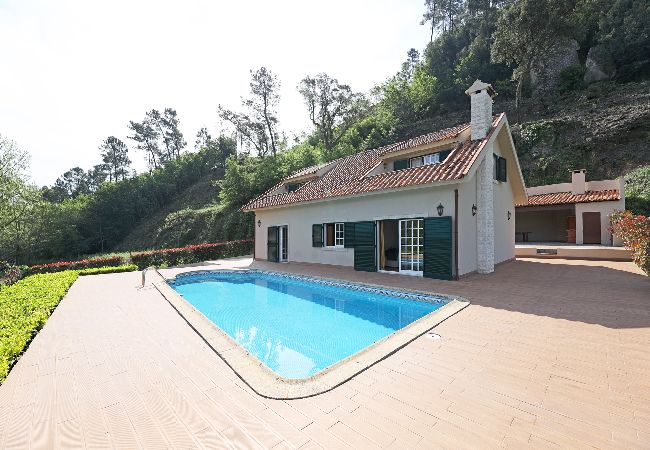 Apartamento em São Martinho de Sardoura - FLH Douro Family House Apartamento em São Martinho de Sardoura - FLH Douro Family House