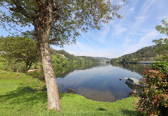 Apartamento em São Martinho de Sardoura - FLH Douro Family House Apartamento em São Martinho de Sardoura - FLH Douro Family House