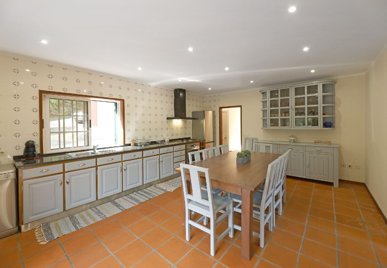 Apartamento em São Martinho de Sardoura - FLH Douro Family House Apartamento em São Martinho de Sardoura - FLH Douro Family House