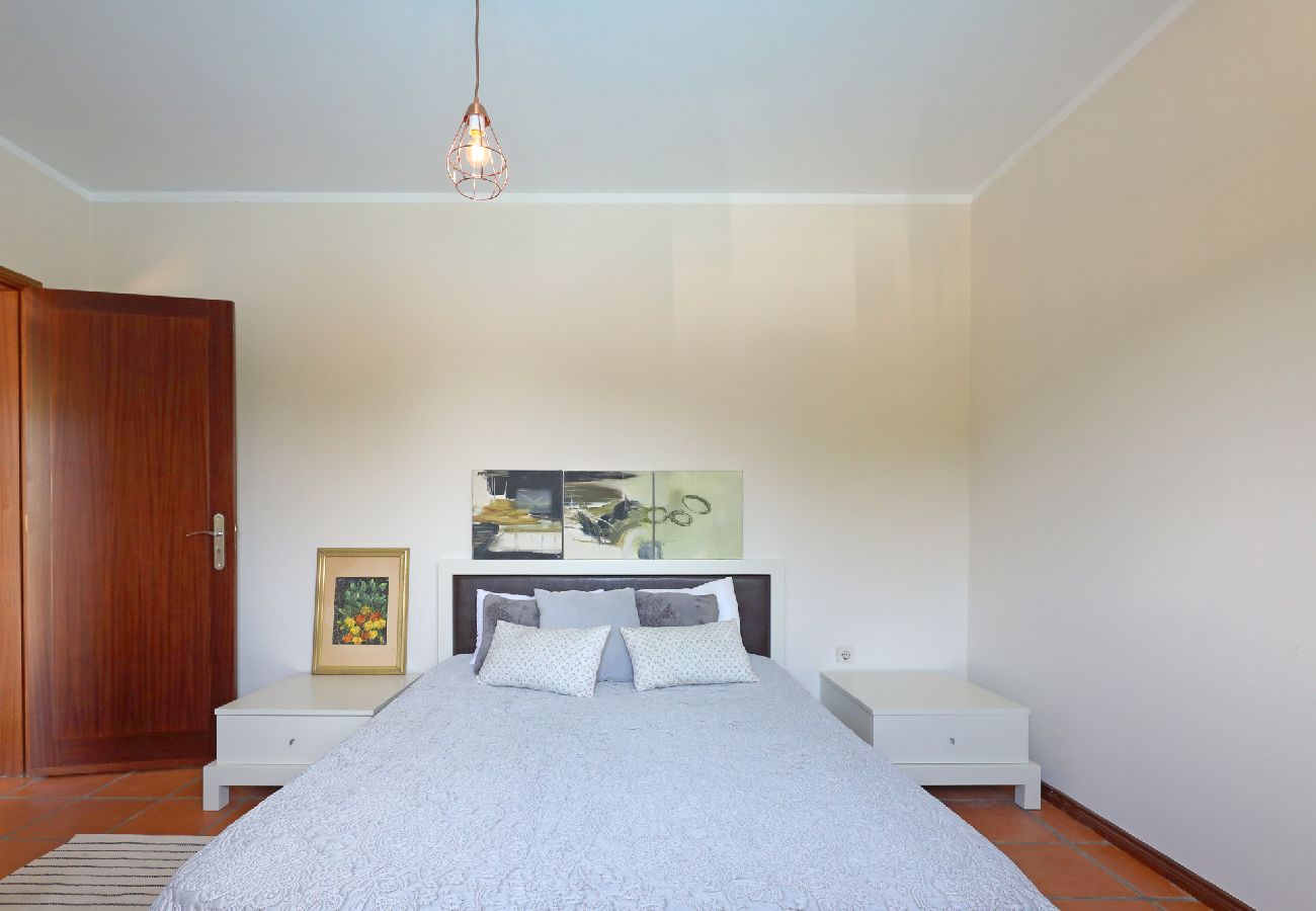 Apartamento em São Martinho de Sardoura - FLH Douro Family House Apartamento em São Martinho de Sardoura - FLH Douro Family House