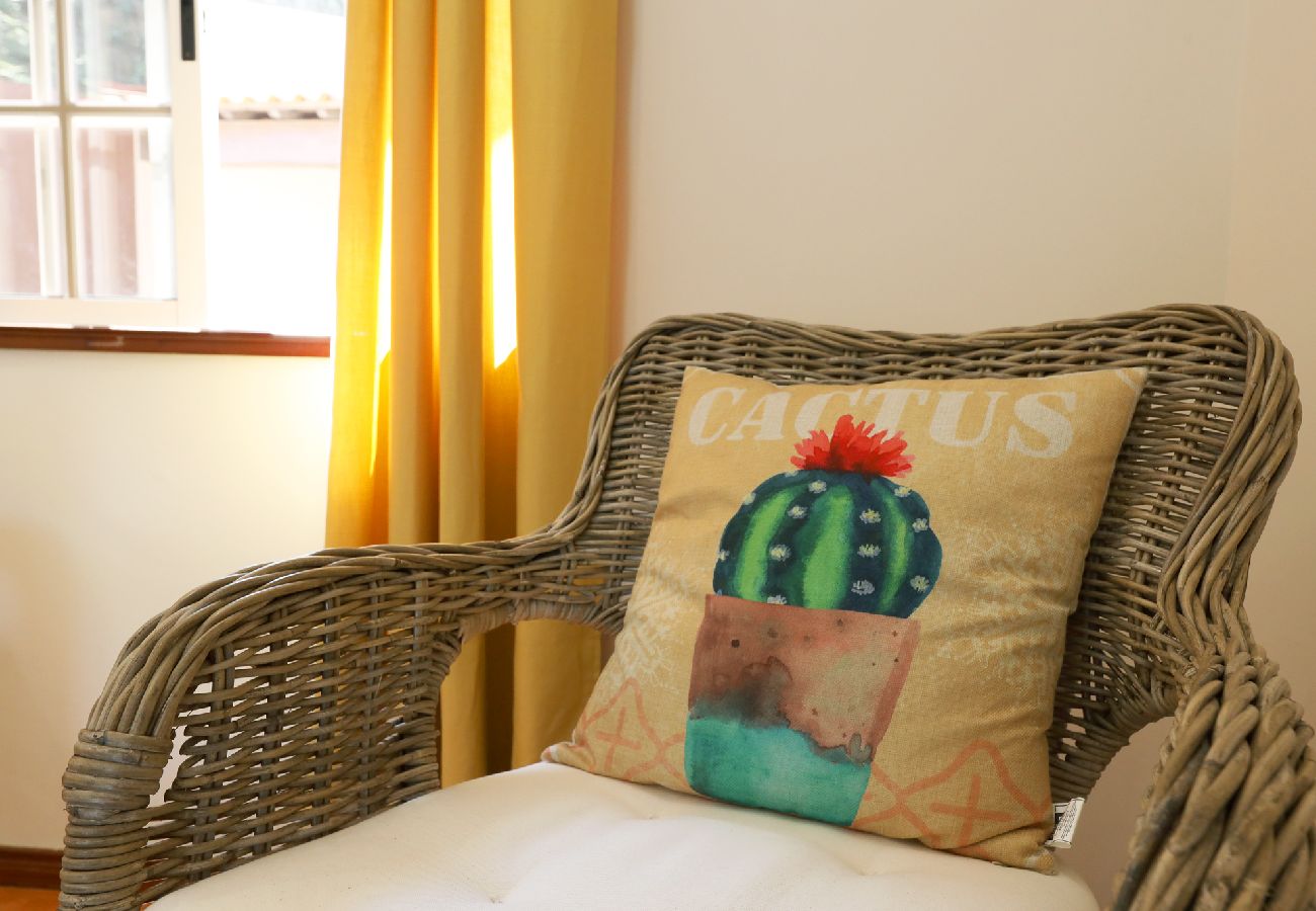 Apartamento em São Martinho de Sardoura - FLH Douro Family House Apartamento em São Martinho de Sardoura - FLH Douro Family House