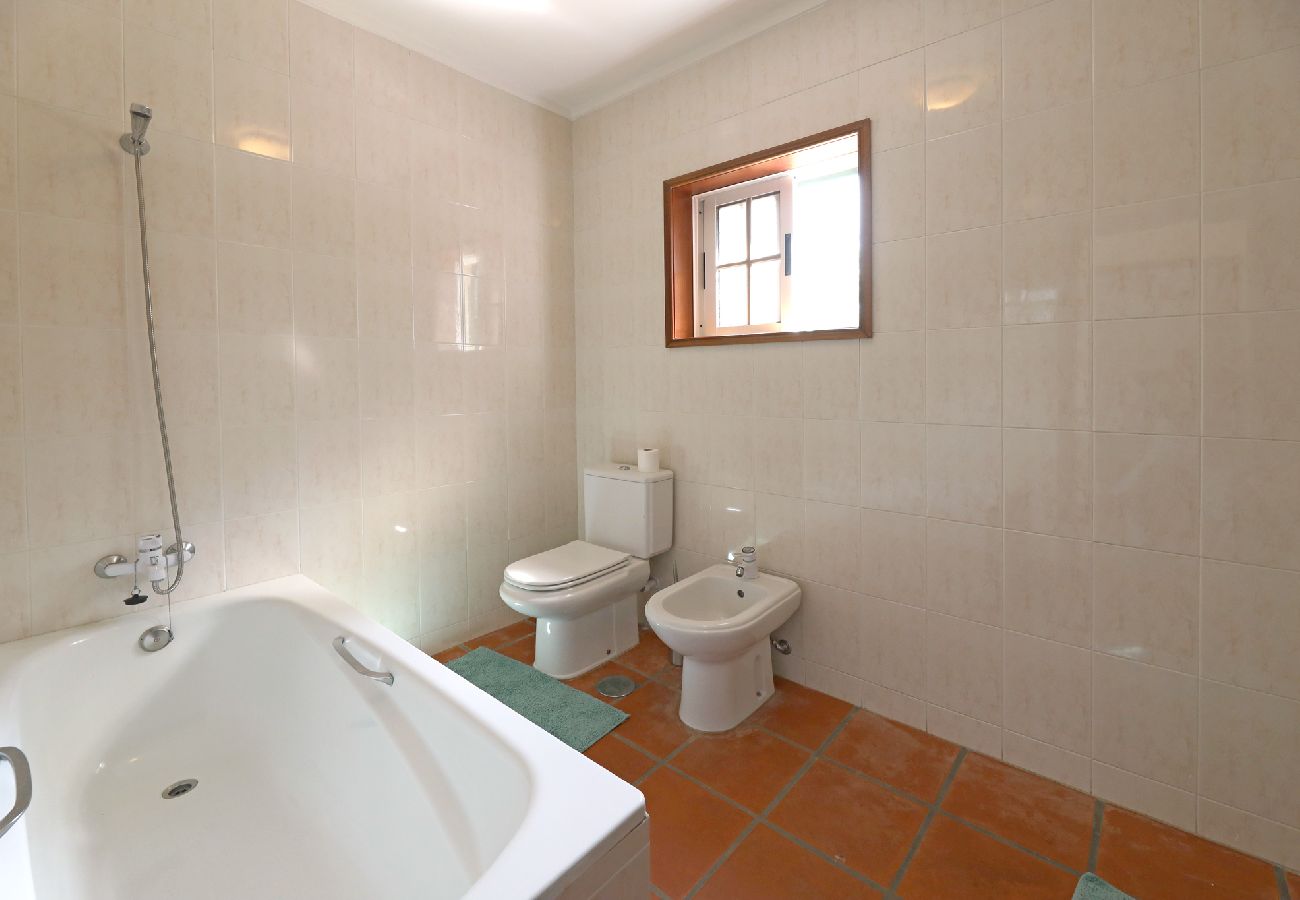 Apartamento em São Martinho de Sardoura - FLH Douro Family House Apartamento em São Martinho de Sardoura - FLH Douro Family House