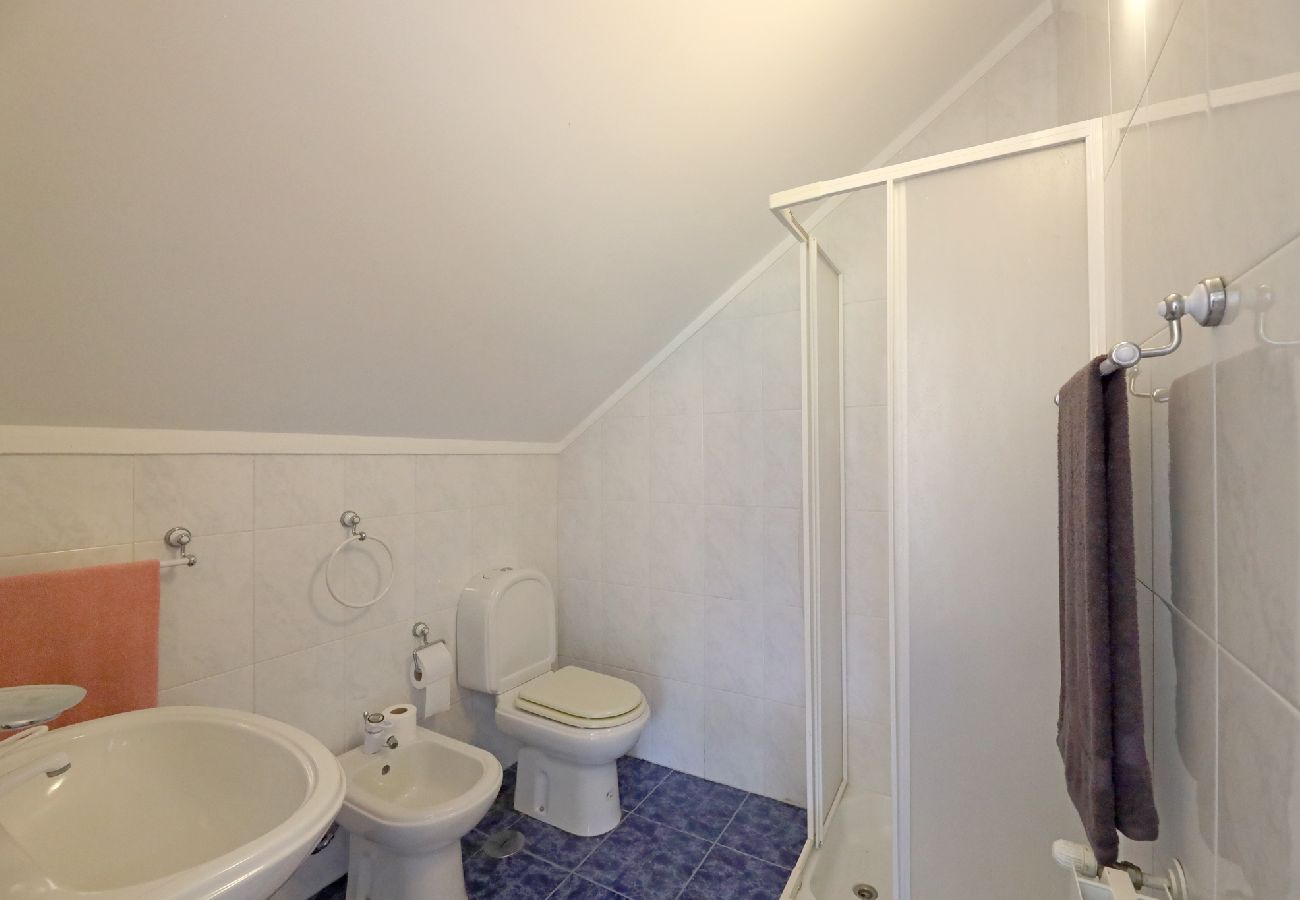Apartamento em São Martinho de Sardoura - FLH Douro Family House Apartamento em São Martinho de Sardoura - FLH Douro Family House