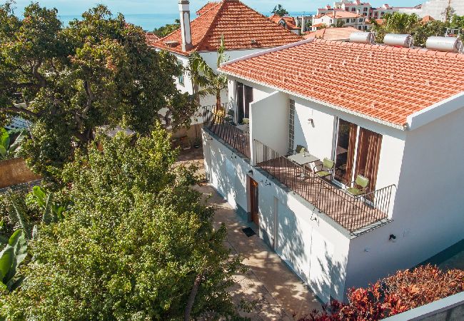 Apartamento em Funchal - FLH Quintinha Rocha – Jimmy’s Garden Apartment Apartamento em Funchal - FLH Quintinha Rocha – Jimmy’s Garden Apartment