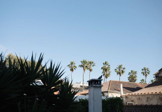 Apartamento em Lisboa - FLH Príncipe Real Apartment with Terrace and View Apartamento em Lisboa - FLH Príncipe Real Apartment with Terrace and View