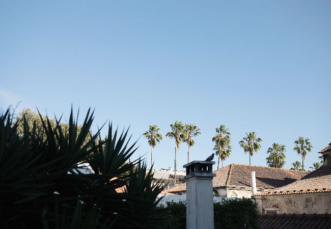 Apartamento em Lisboa - FLH Príncipe Real Apartment with Terrace and View Apartamento em Lisboa - FLH Príncipe Real Apartment with Terrace and View