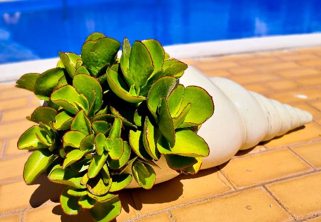 Apartamento em Vilamoura - FLH Vilamoura Summer Flat with Pool Apartamento em Vilamoura - FLH Vilamoura Summer Flat with Pool
