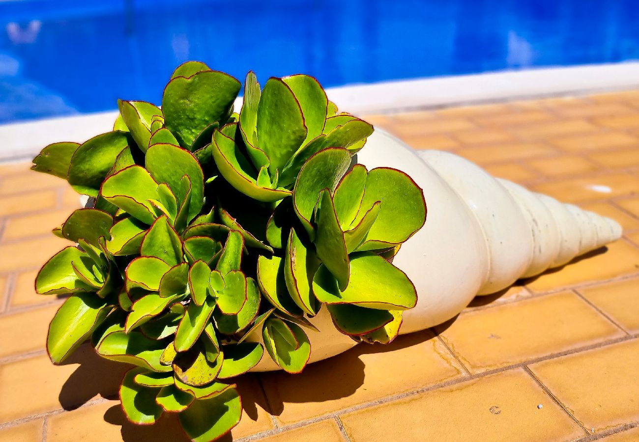 Apartamento em Vilamoura - FLH Vilamoura Summer Flat with Pool Apartamento em Vilamoura - FLH Vilamoura Summer Flat with Pool