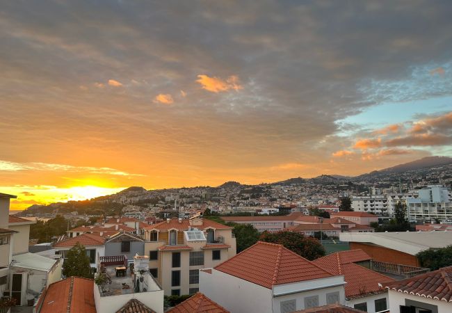 Apartamento em Funchal - FLH Funchal A Quinta do Conde Balcony Flat IV Apartamento em Funchal - FLH Funchal A Quinta do Conde Balcony Flat IV