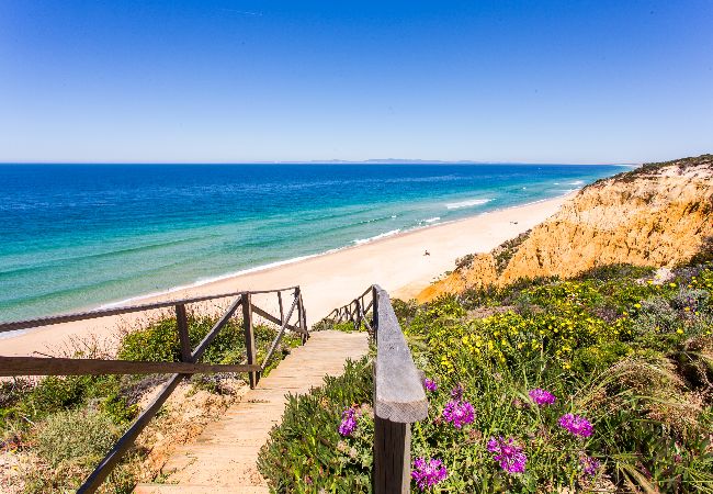 House in Melides - FLH Melides Beach House House in Melides - FLH Melides Beach House