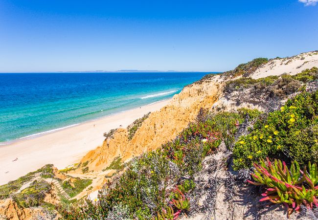 House in Melides - FLH Melides Beach House House in Melides - FLH Melides Beach House