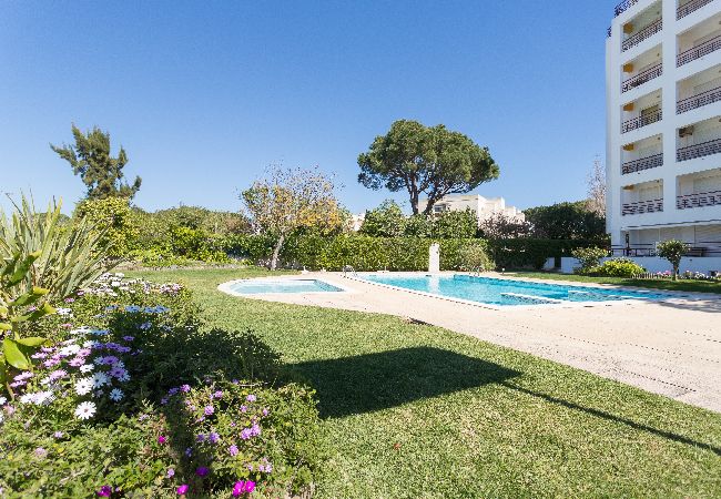 Apartment in Vilamoura - FLH Vilamoura Central Flat Apartment in Vilamoura - FLH Vilamoura Central Flat