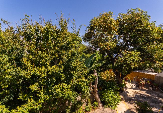 Apartment in Funchal - FLH Quintinha Rocha – Rosemary Garden Apartment Apartment in Funchal - FLH Quintinha Rocha – Rosemary Garden Apartment