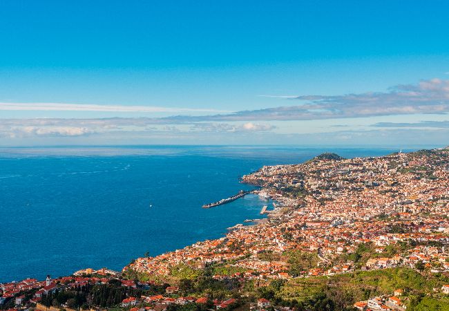 Apartment in Funchal - FLH Funchal Ocean View with Pool Apartment in Funchal - FLH Funchal Ocean View with Pool