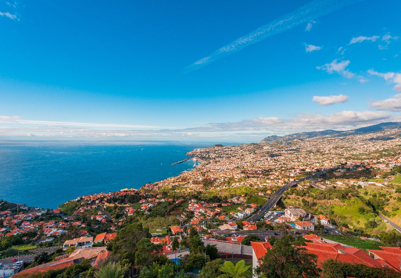 Apartment in Funchal - FLH Funchal Ocean View with Pool Apartment in Funchal - FLH Funchal Ocean View with Pool