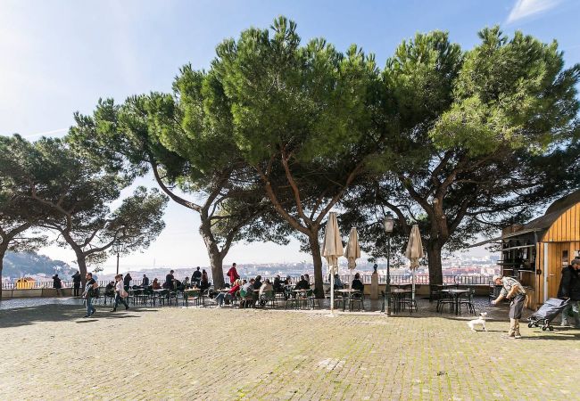 Apartment in Lisbon - FLH Portuguese Soul Flat with Terrace Apartment in Lisbon - FLH Portuguese Soul Flat with Terrace