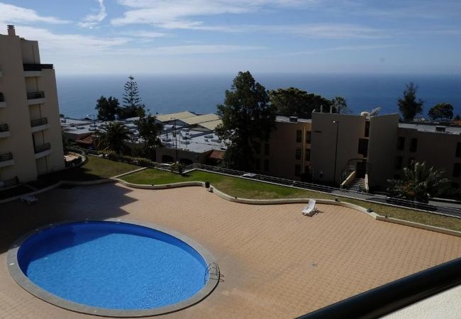 Apartment in Santa Cruz - FLH Garajau Balcony with Pool Apartment in Santa Cruz - FLH Garajau Balcony with Pool