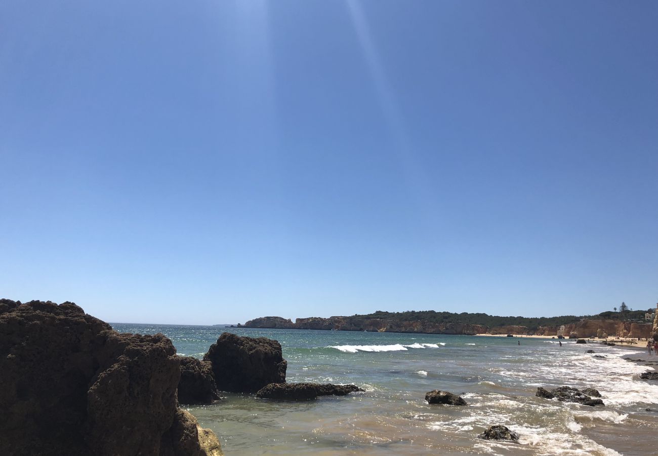 Apartment in Portimão - FLH Portimão Beach Flat with Pool Apartment in Portimão - FLH Portimão Beach Flat with Pool