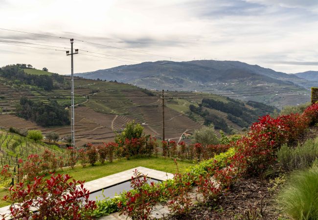 Rent by room in Vila Marim - FLH Douro Casa do Mártir - Quarto Meio Rent by room in Vila Marim - FLH Douro Casa do Mártir - Quarto Meio