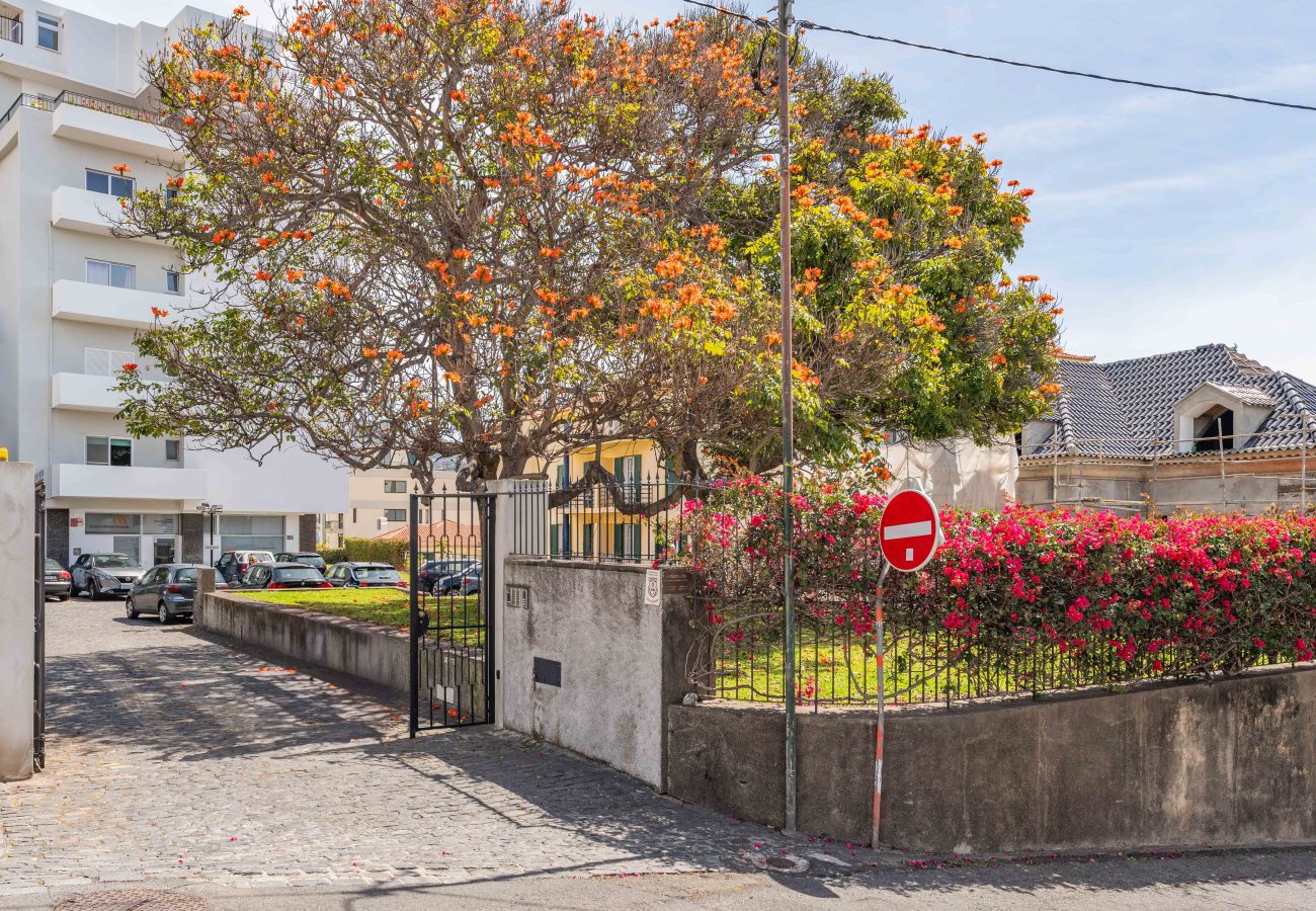 Studio in Funchal - FLH Funchal Terrace Studio Studio in Funchal - FLH Funchal Terrace Studio